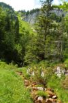 2014-07-05_Laengental-N-Hochweg (538). JPG